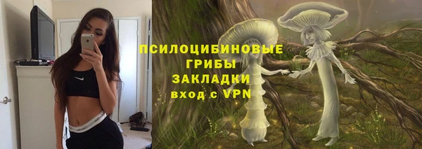 Альфа ПВП Бугульма