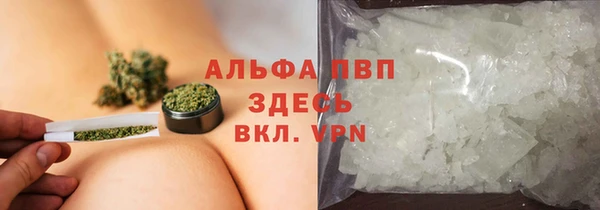 Альфа ПВП Бугульма